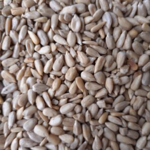 Sonnenblumenkerne geschält